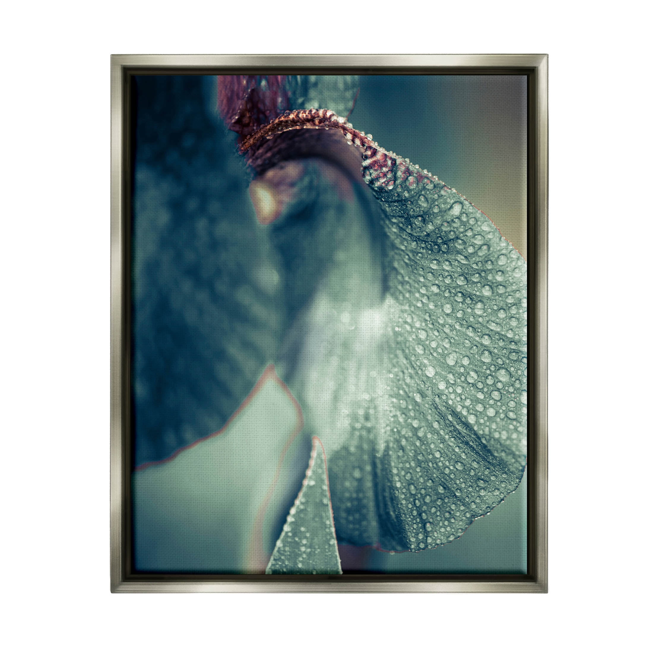 Close Up Water Drip Petals Botanical & Floral Photograph Luster Gray Framed Art Print Wall Art