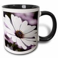 thumbnail image 1 of Close Up White African Cape Daisy Photograph 15oz Two-Tone Black Mug mug-347098-9, 1 of 3