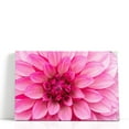 thumbnail image 1 of Close-Up of Hot Pink Dahlia Flower - Wrapped Canvas Print Wall Art | 24" W x 16" H, 1 of 4