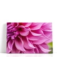 thumbnail image 1 of Close-Up of Pink Flower - Wrapped Canvas Print Wall Art | 60" W x 40" H, 1 of 4