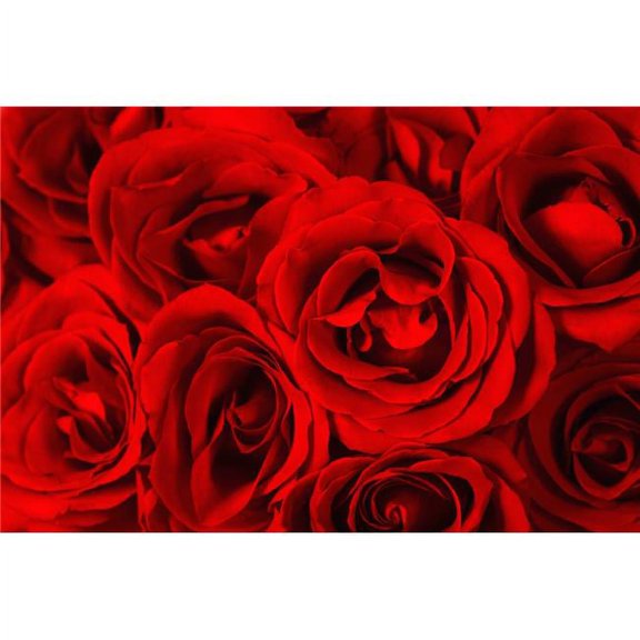 Close Up of Red Roses Poster Print by Leah Hammond, 34 x 22 - Large