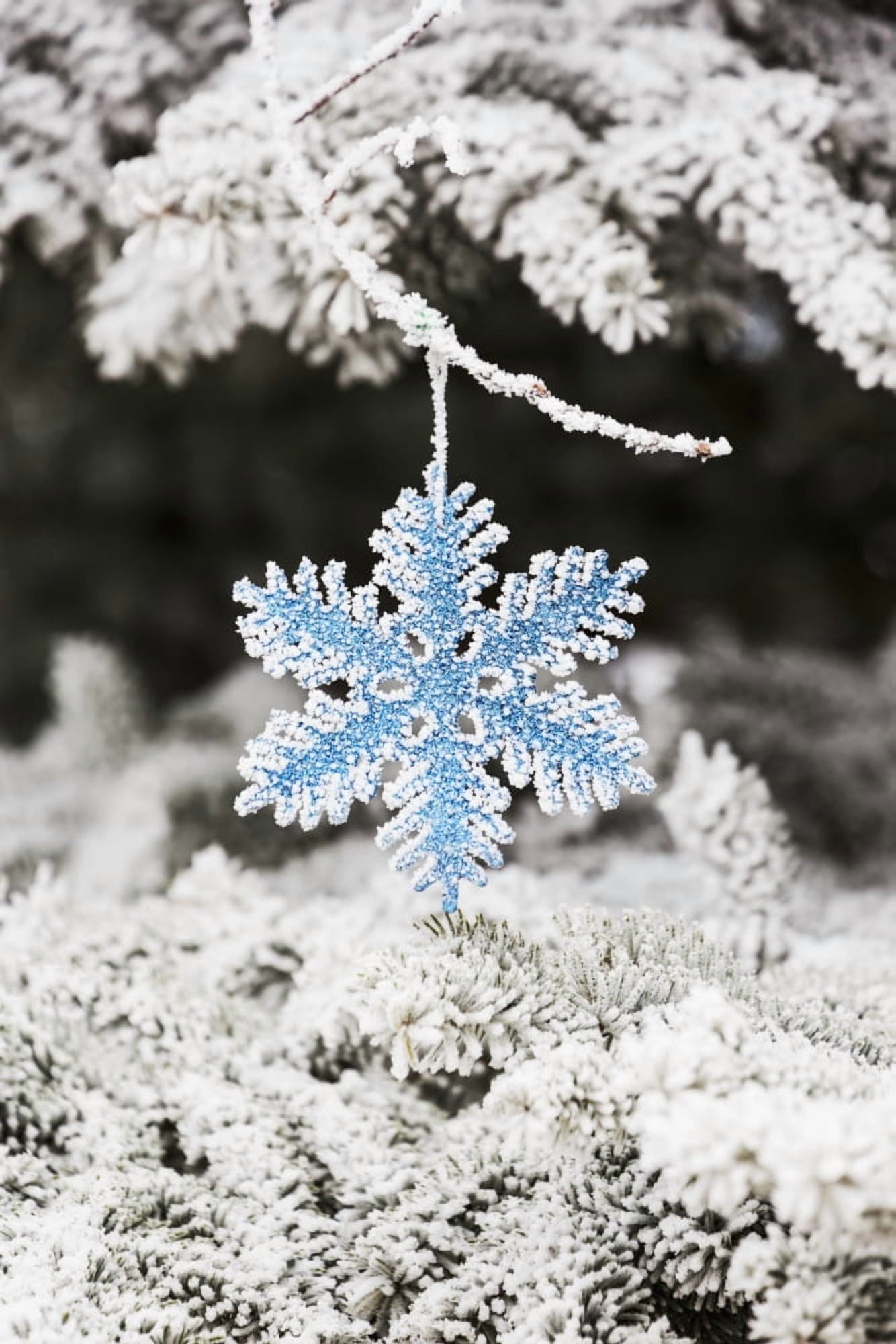 Close up of frosted covered Christmas ornament hanging on frosted covered evergreen tree branches Calgary Alberta Canada Canvas Art - Michael Interisano Design Pics (12 x 19)