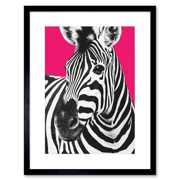 Close up Beasties Zebra Art Print Framed Poster Wall Decor 9x7 inch
