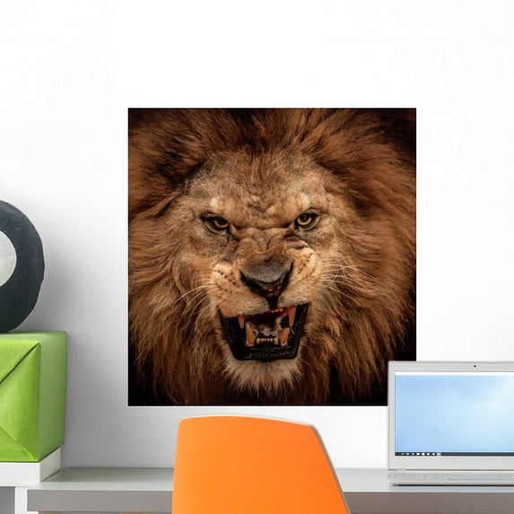 Close-up Shot Roaring Lion by Wallmonkeys Peel and Stick Graphic (18 in H x 17 in W) WM104655