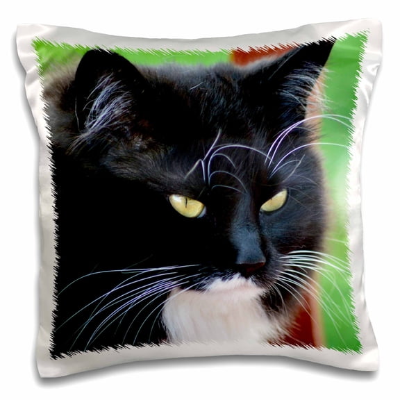 3dRose, Close up of Black and White Kitty Cat, 16x16 inch Pillow Case
