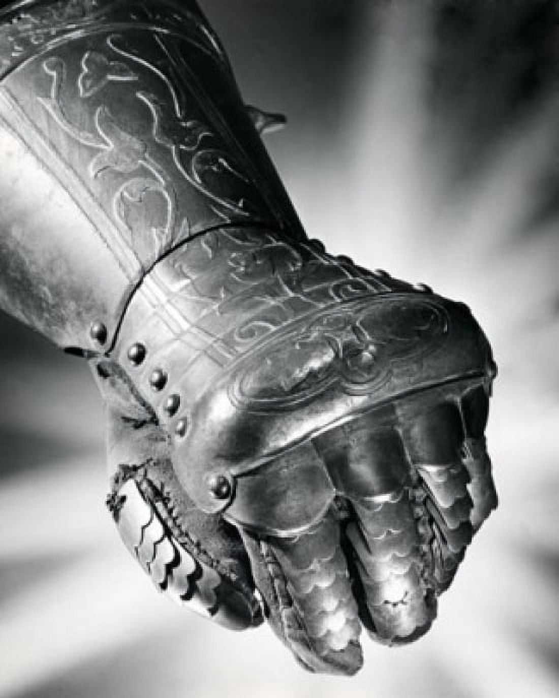 Close-up of Gauntlet Canvas Art - (18 x 24)