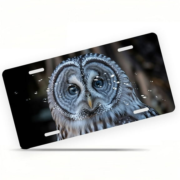 Close up of Owl Funny Personalized License Plate Rust-proof Stainless Steel Metal License Plate Suitable For Men And Women 12.2" x 6.2"