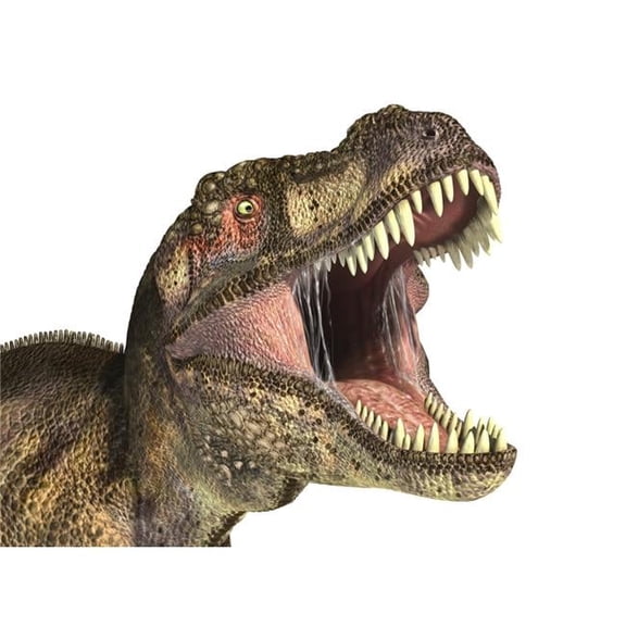 Close-up of Tyrannosaurus Rex dinosaur with mouth open Poster Print