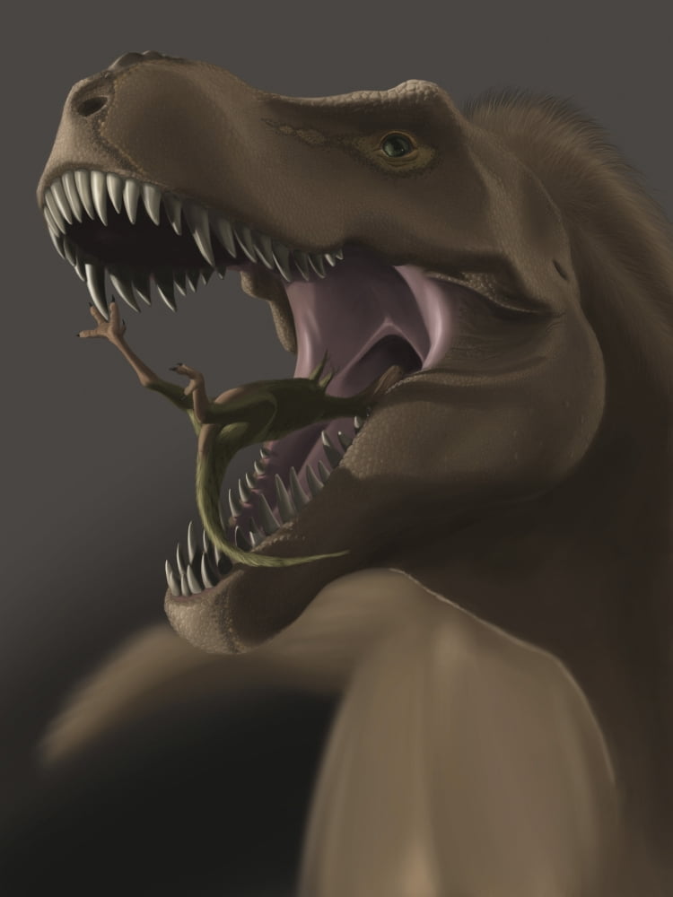 Close-up of Tyrannosaurus Rex eating a small animal Canvas Art - Michele DessiStocktrek Images (25 x 33)