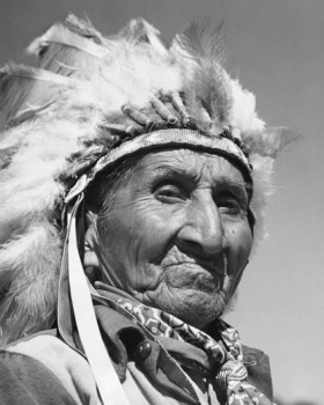 Close-up of a Cherokee man Canvas Art - (18 x 24)