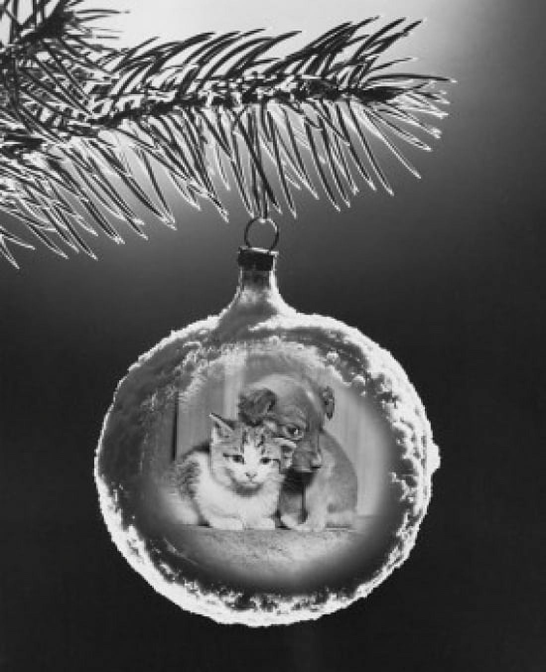 Close-up of a Christmas ornament hanging on a Christmas tree Canvas Art - (18 x 24)