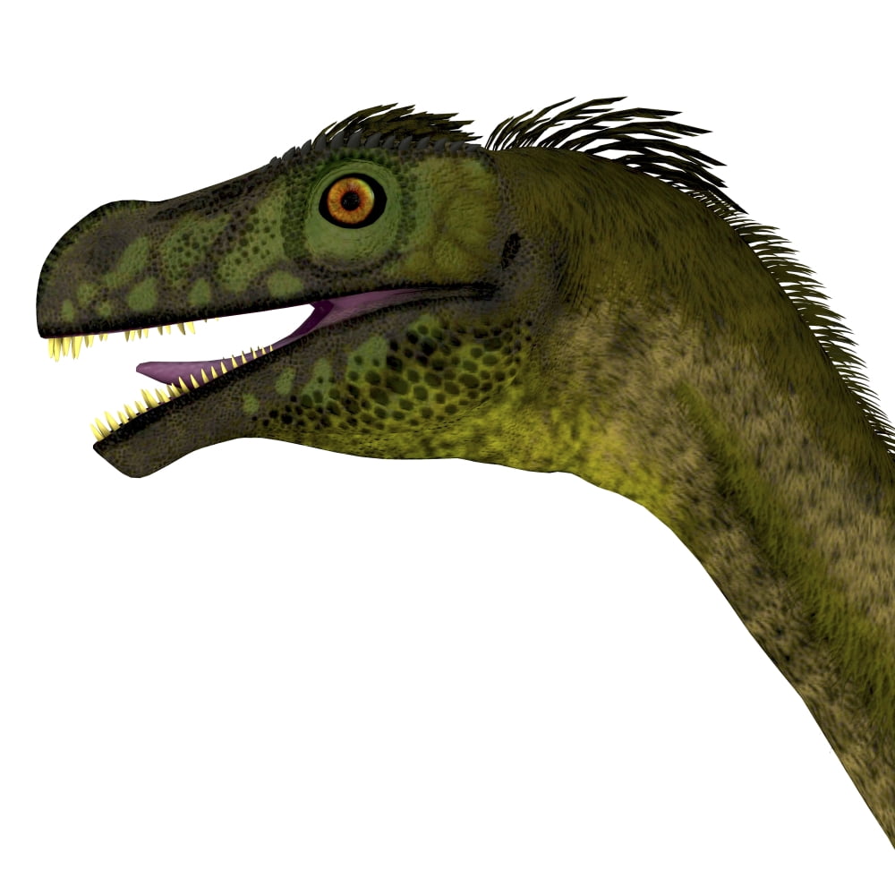 Close-up of a Ornitholestes dinosaur head Canvas Art - Corey FordStocktrek Images (28 x 28)