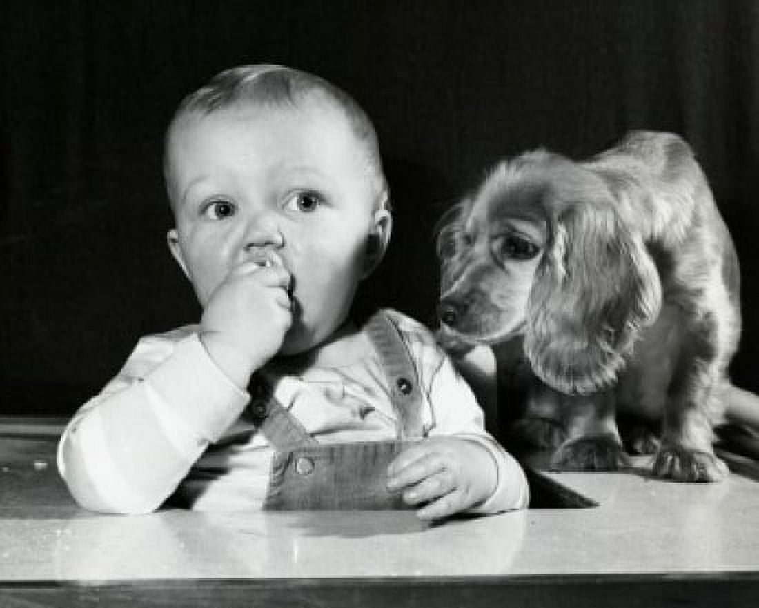 Close-up of a baby boy with a dog Canvas Art - (18 x 24)
