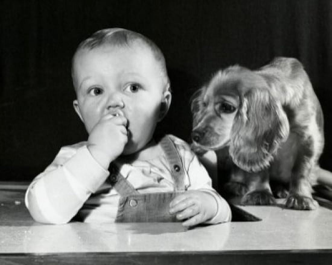 Close-up of a baby boy with a dog Canvas Art - (24 x 36)