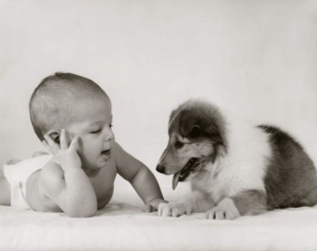 Close-up of a baby with a puppy Canvas Art - (18 x 24)