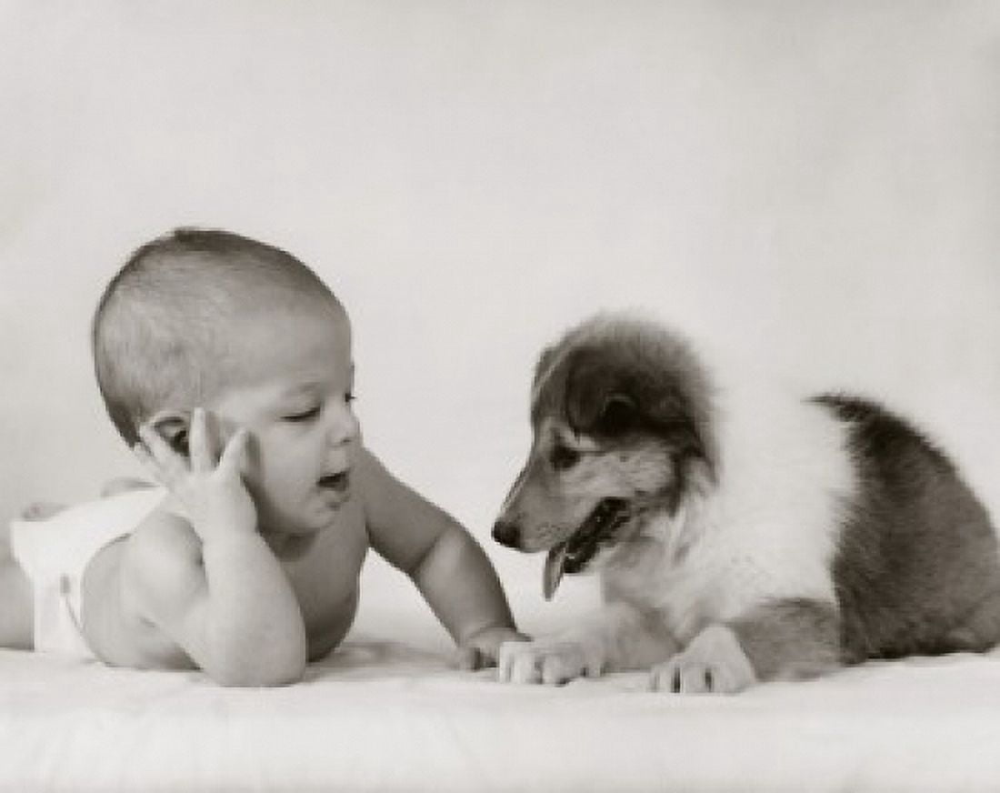 Close-up of a baby with a puppy Canvas Art - (24 x 36)