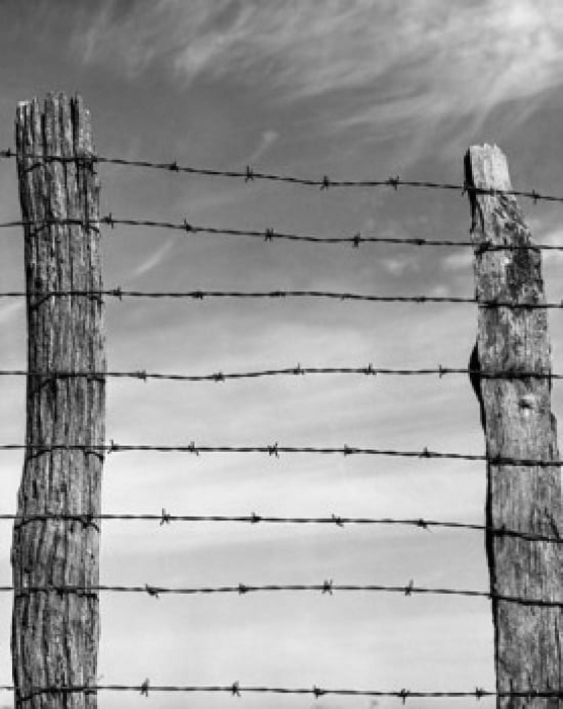 Close-up of a barbed wire fence Canvas Art - (24 x 36)