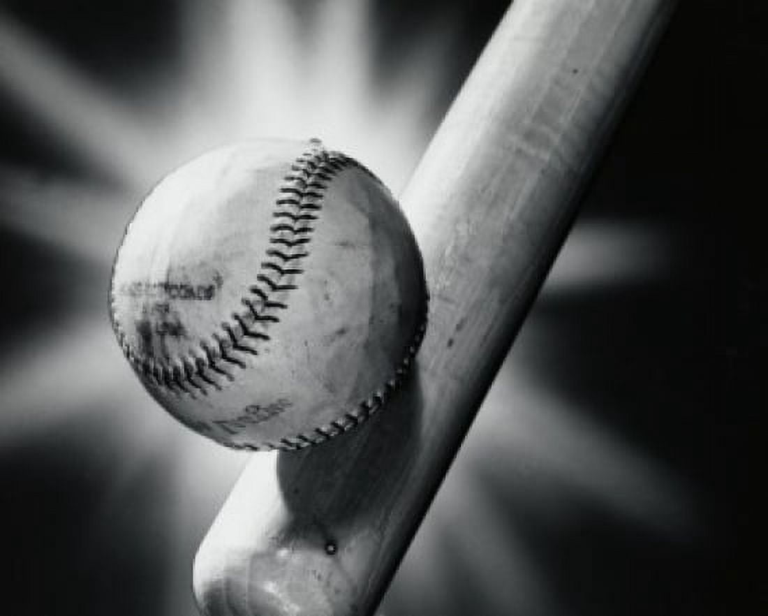Close-up of a baseball and a baseball bat Canvas Art - (18 x 24)