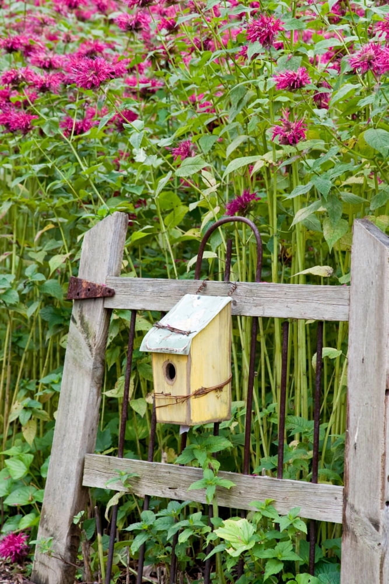 Close-up of a birdhouse on a rustic fence in a flower garden Marion County Illinois USA Canvas Art - Panoramic Images (18 x 24)