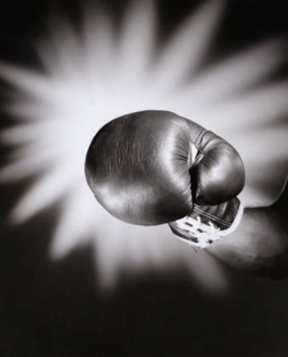 Close-up of a boxing glove Canvas Art - (24 x 36)