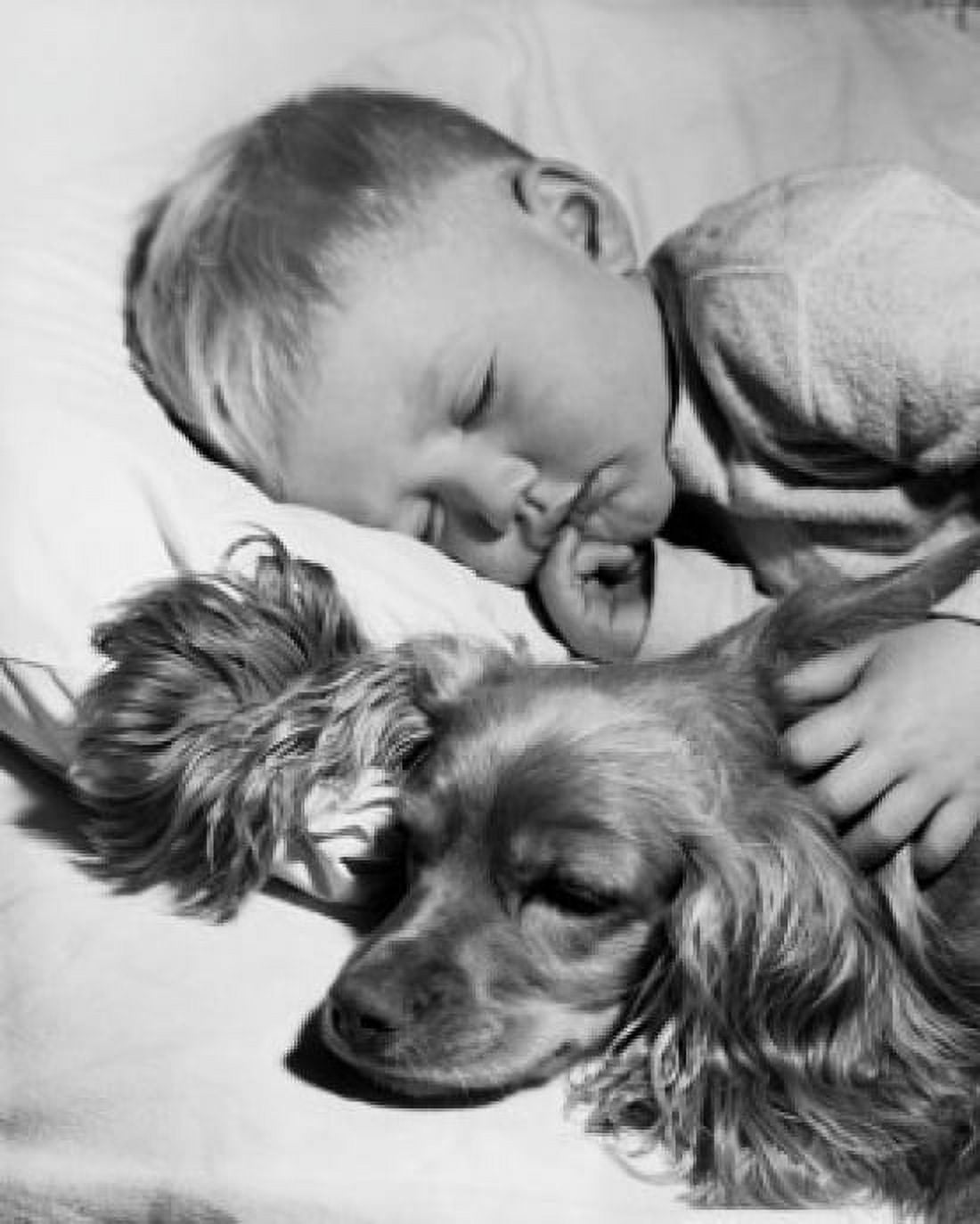Close-up of a boy sleeping with his dog Canvas Art - (18 x 24)