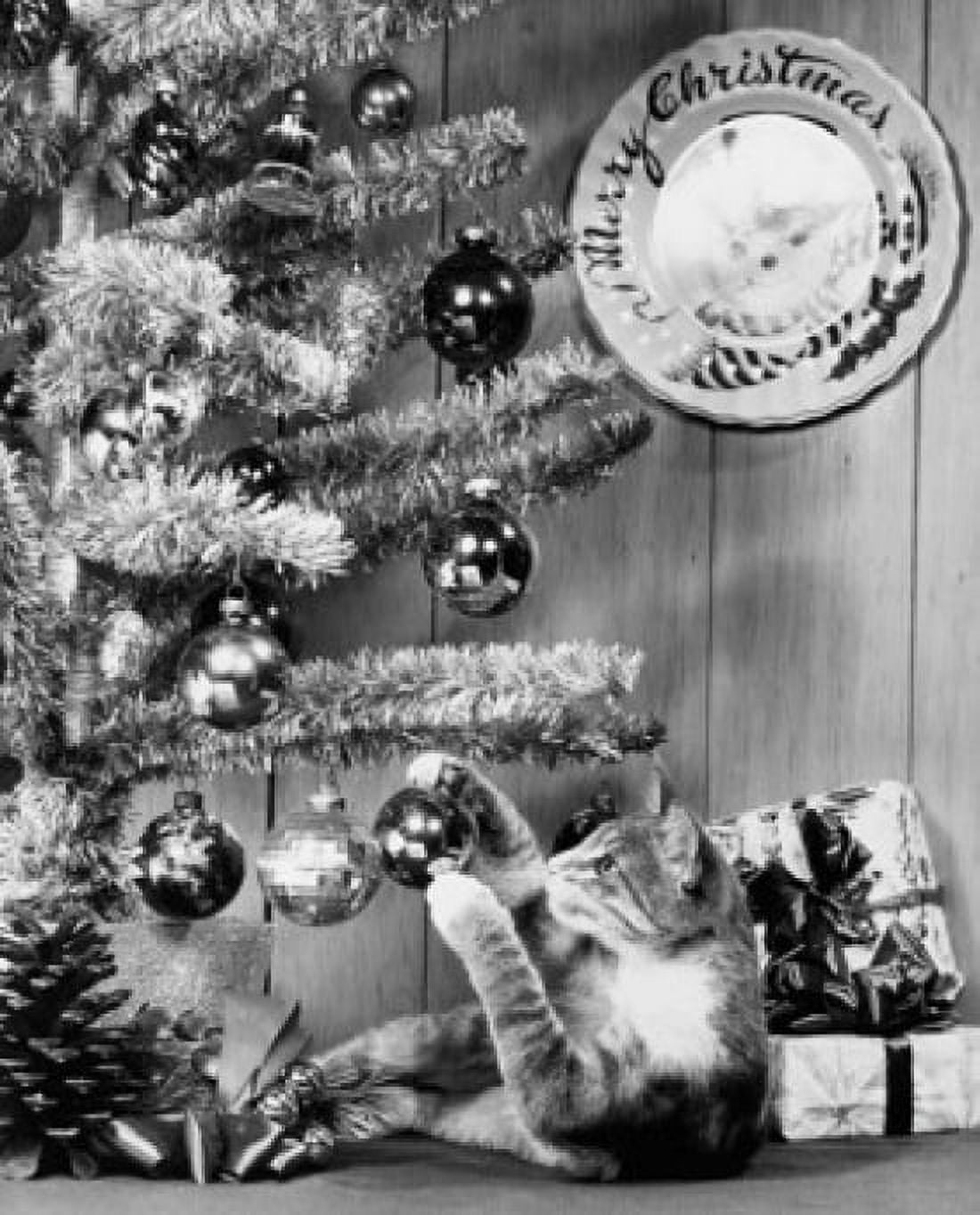 Close-up of a cat playing with a Christmas ornament on a Christmas tree Canvas Art - (18 x 24)