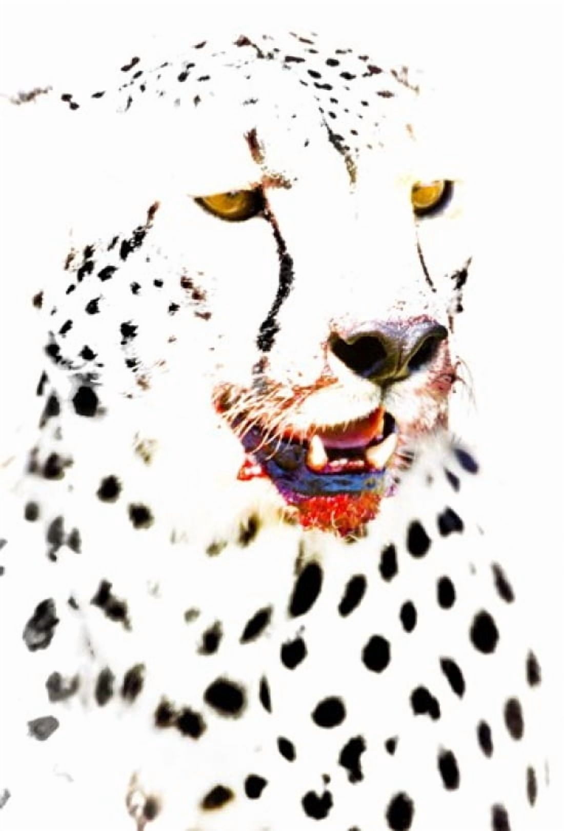Close-up of a cheetah Ngorongoro Conservation Area Arusha Region Tanzania (Acinonyx jubatus) Canvas Art - Panoramic Images (17 x 24)