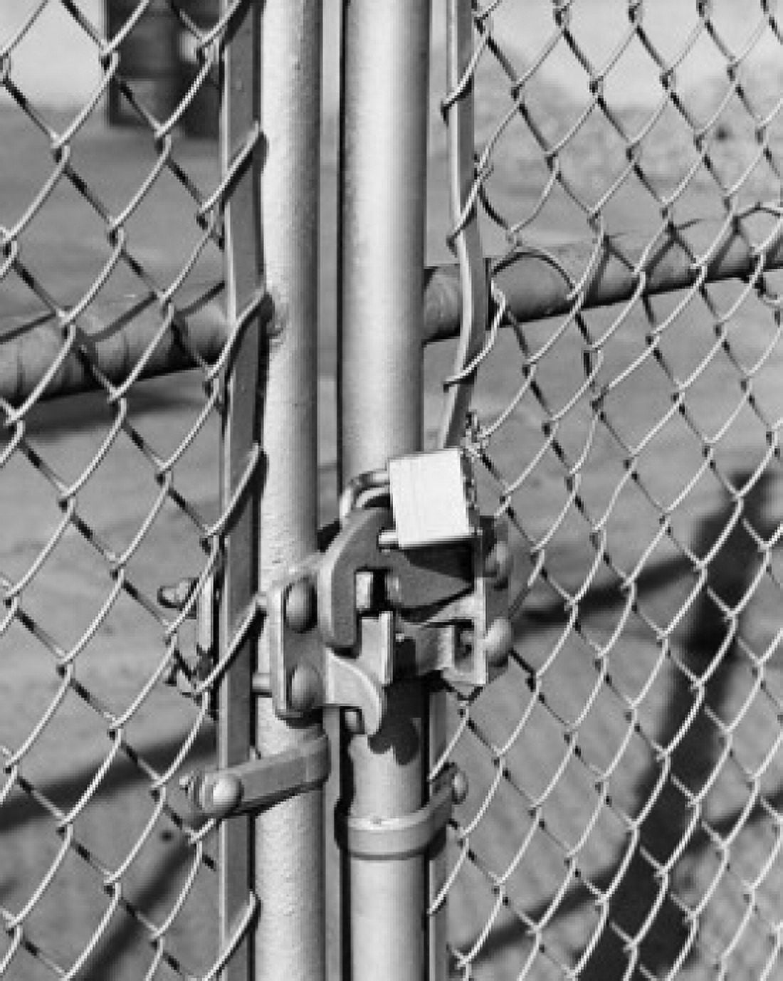Close-up of a gate locked with a padlock Canvas Art - (24 x 36)