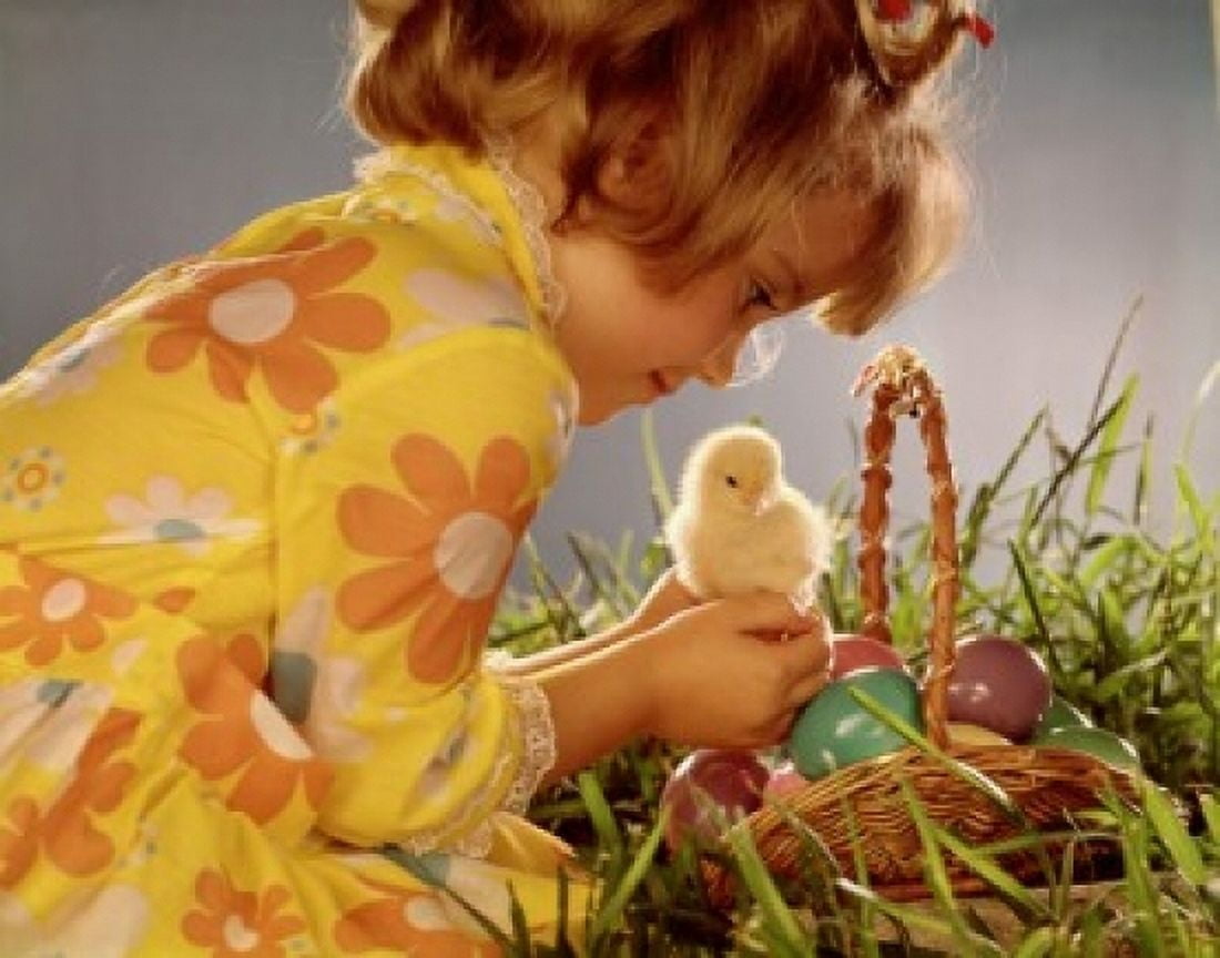 Close-up of a girl holding a chick and smiling Canvas Art - (24 x 36)