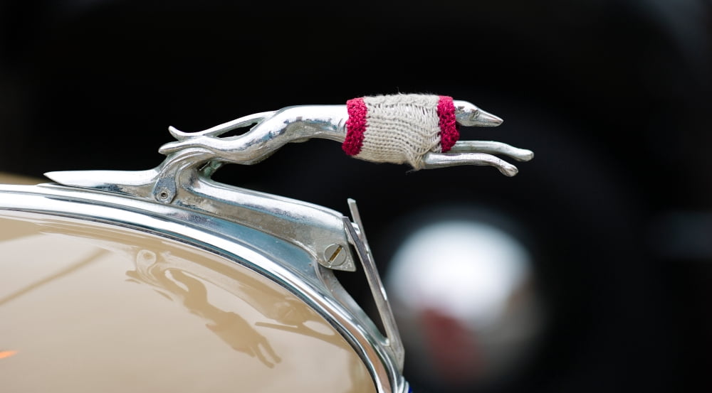 Close-up of a hood ornament of Fords car Culver City Los Angeles County California USA Canvas Art - Panoramic Images (27 x 9)