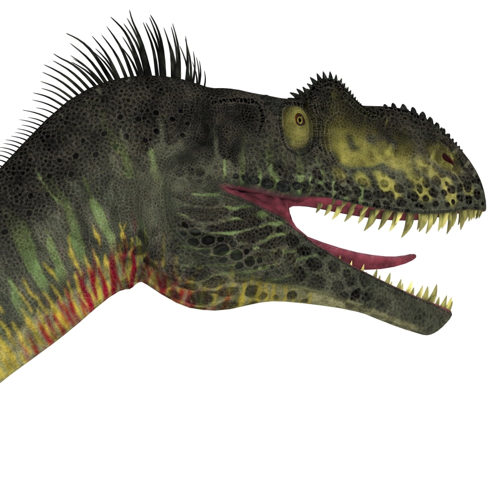 Close-up of a menacing Megalosaurus Canvas Art - Corey FordStocktrek Images (28 x 28)