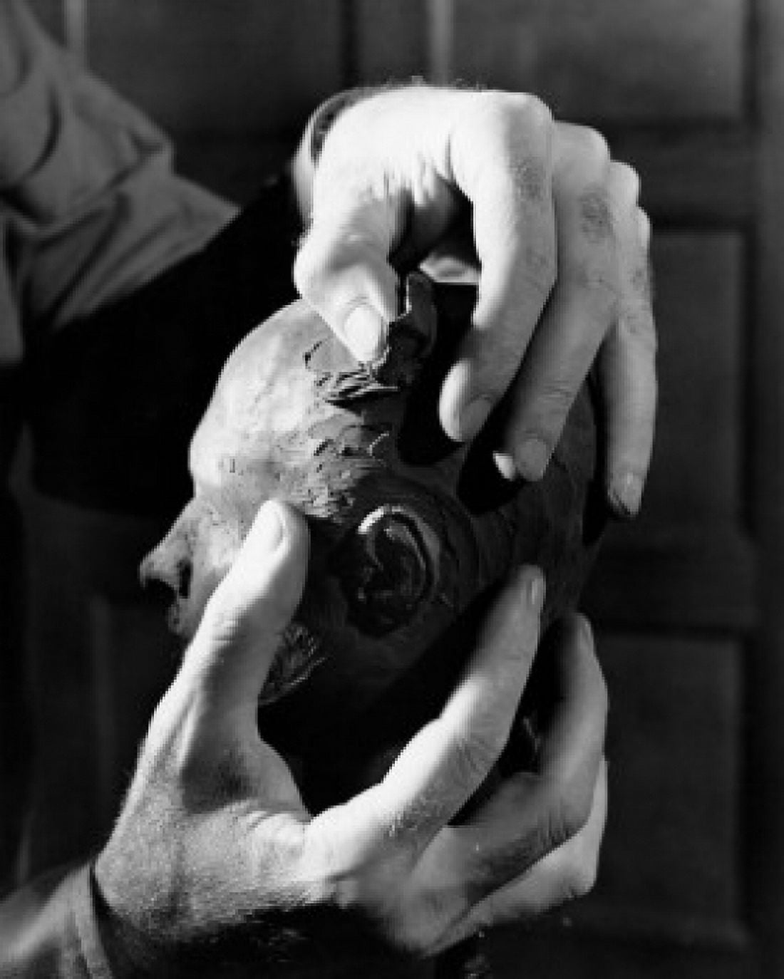 Close-up of a person modeling a head from clay Canvas Art - (24 x 36)