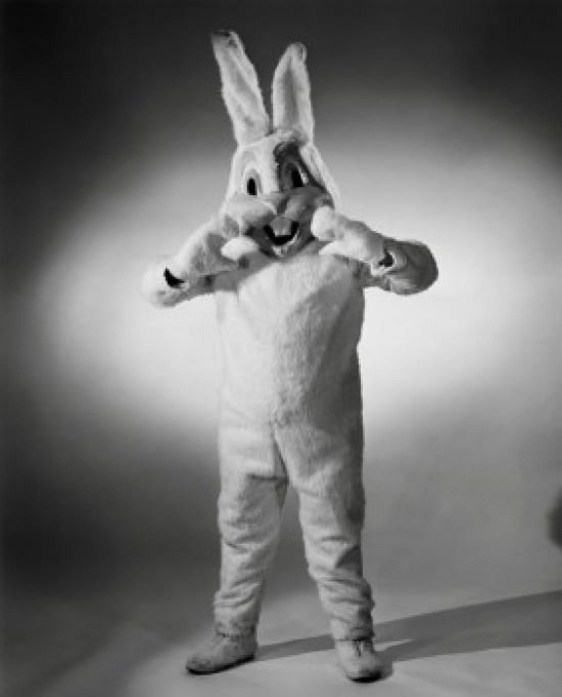 Close-up of a person wearing an Easter bunny costume Canvas Art - (18 x 24)
