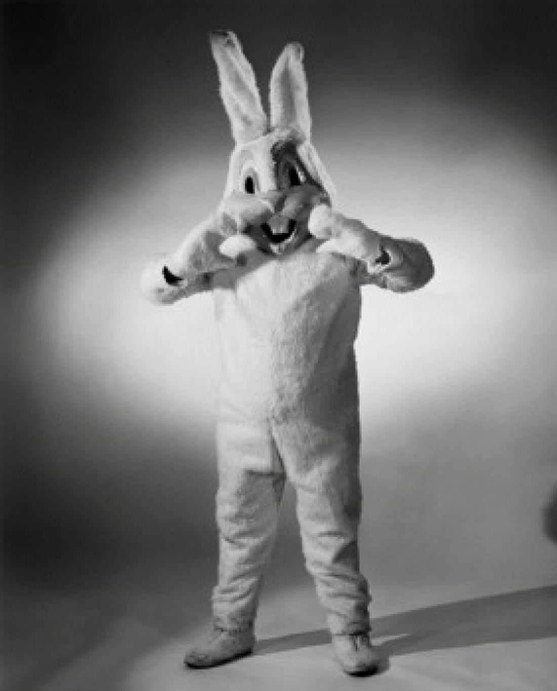 Close-up of a person wearing an Easter bunny costume Canvas Art - (24 x 36)