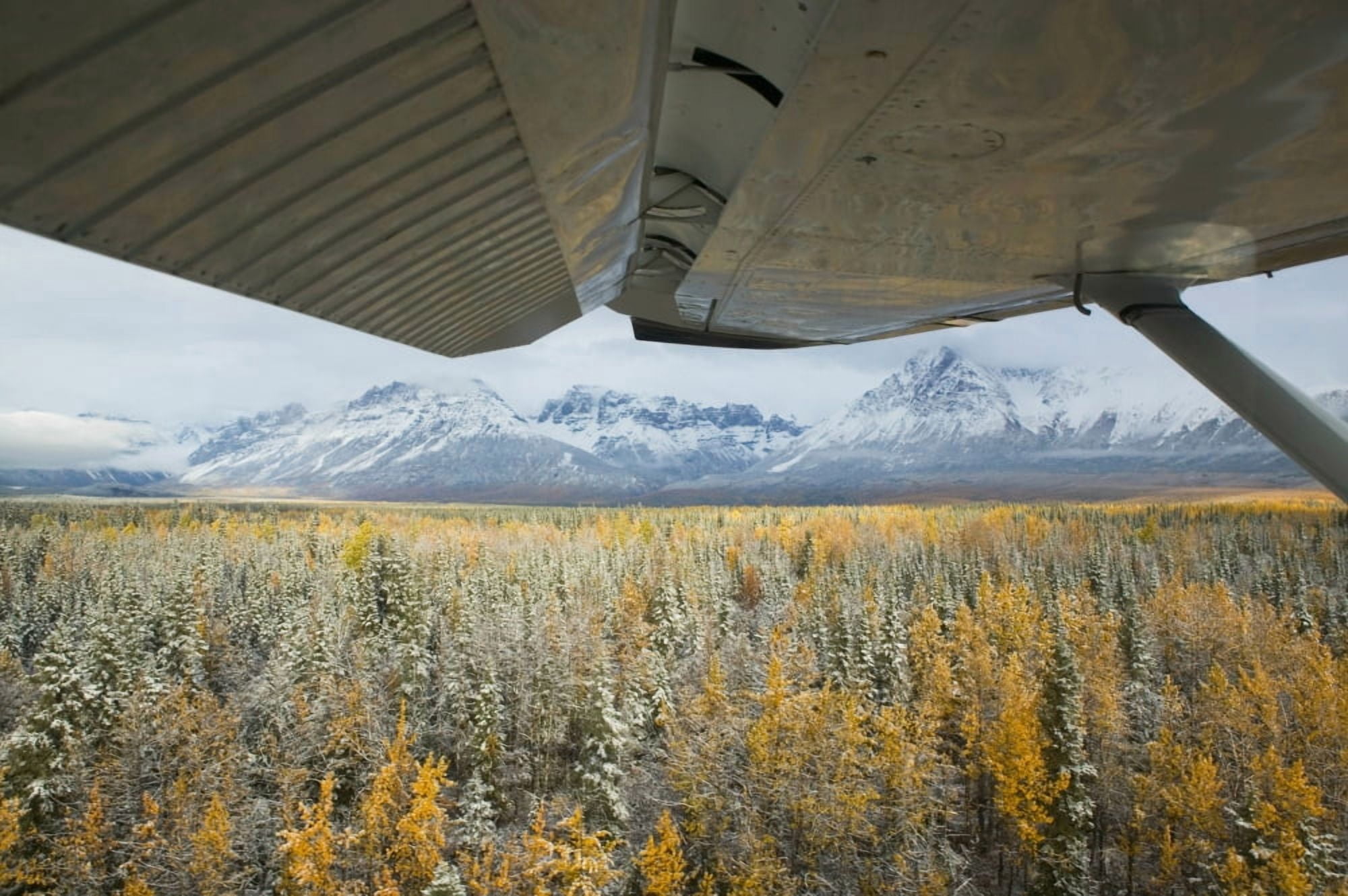 Close-up of a plane wing over a forest Wrangell Mountains Saint Elias National Park Wrangell Alaska USA Canvas Art - Panoramic Images (27 x 9)