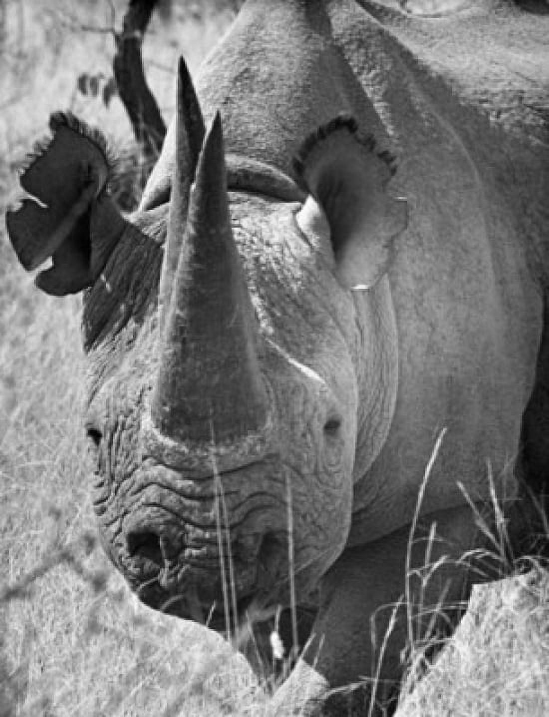 Close-up of a rhinoceros standing in a forest Canvas Art - (24 x 36)