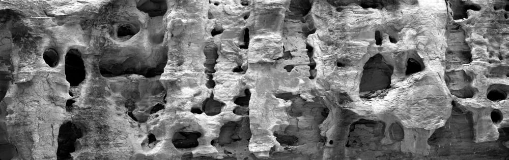 Close-up of a rock Capitol Reef National Park Utah USA Canvas Art - Panoramic Images (12 x 36)