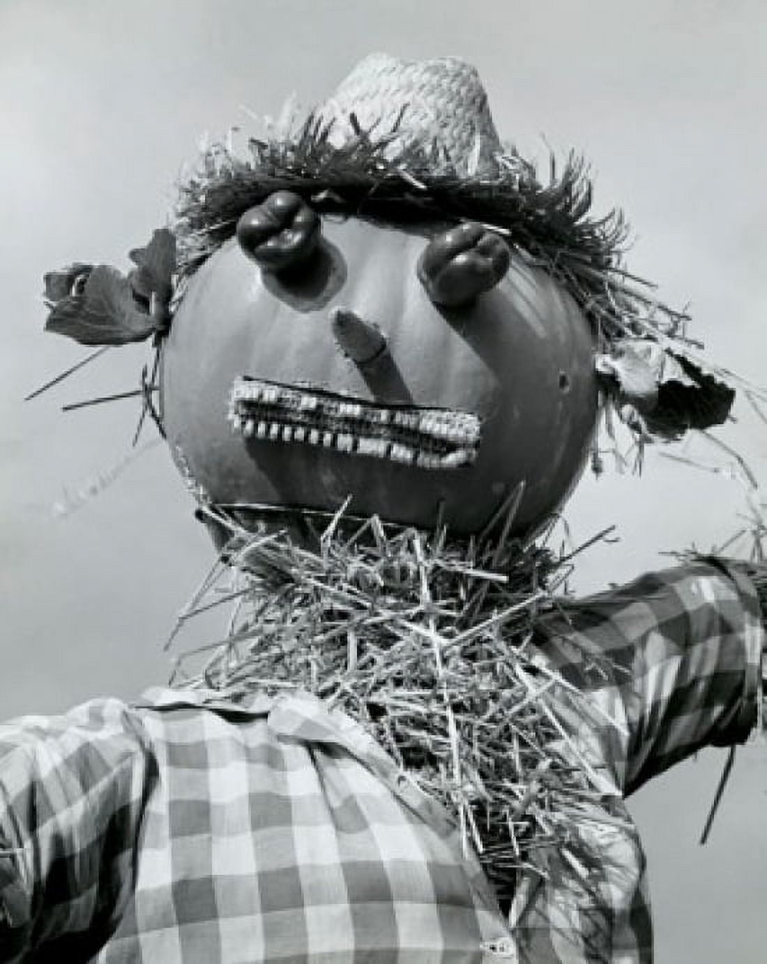 Close-up of a scarecrow Canvas Art -  (18 x 24)