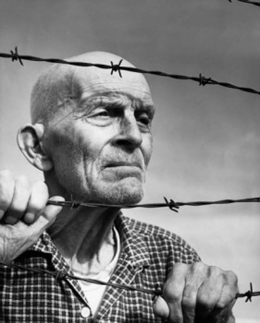 Close-up of a senior man looking through barbed wire fence Canvas Art - (24 x 36)