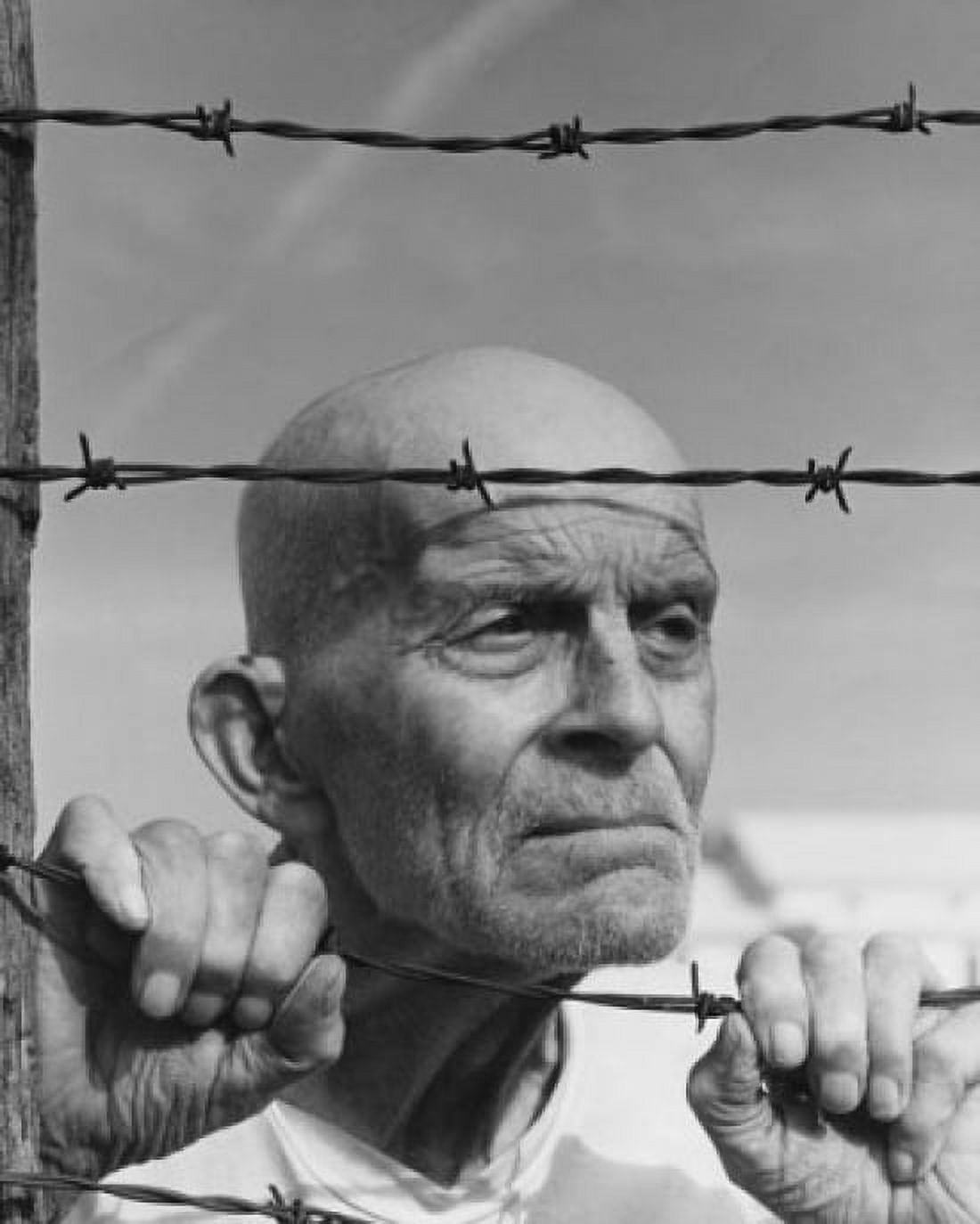 Close-up of a senior man peeking through a barbed wire fence Canvas Art - (18 x 24)