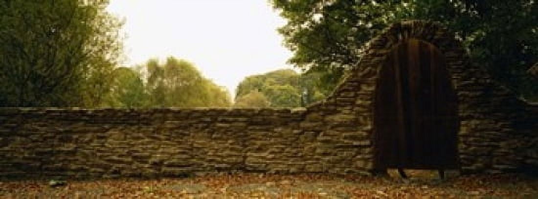 Close-up of a stone wall County Kilkenny Republic Of Ireland Canvas Art - Panoramic Images (18 x 7)