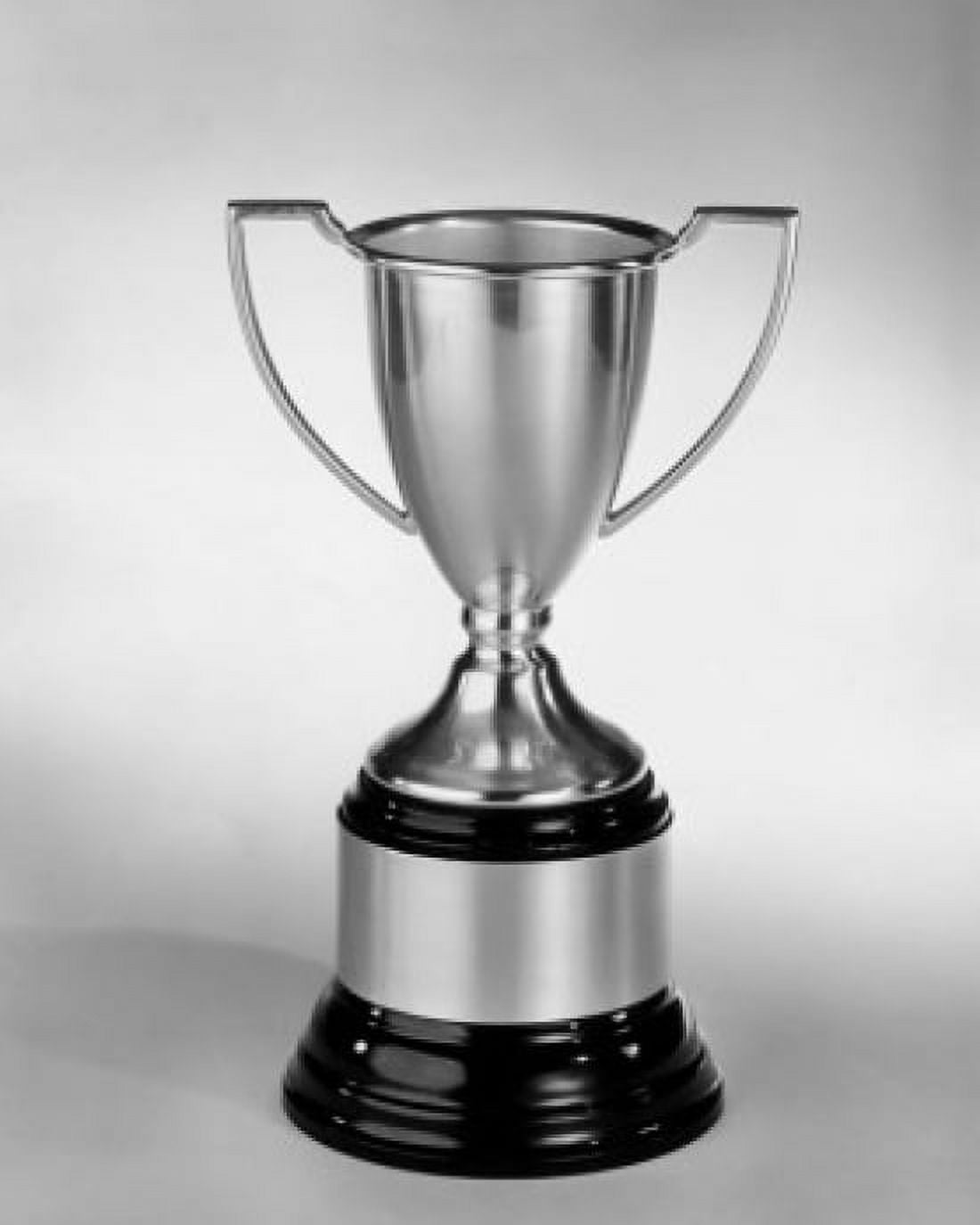Close-up of a trophy Canvas Art - (18 x 24)