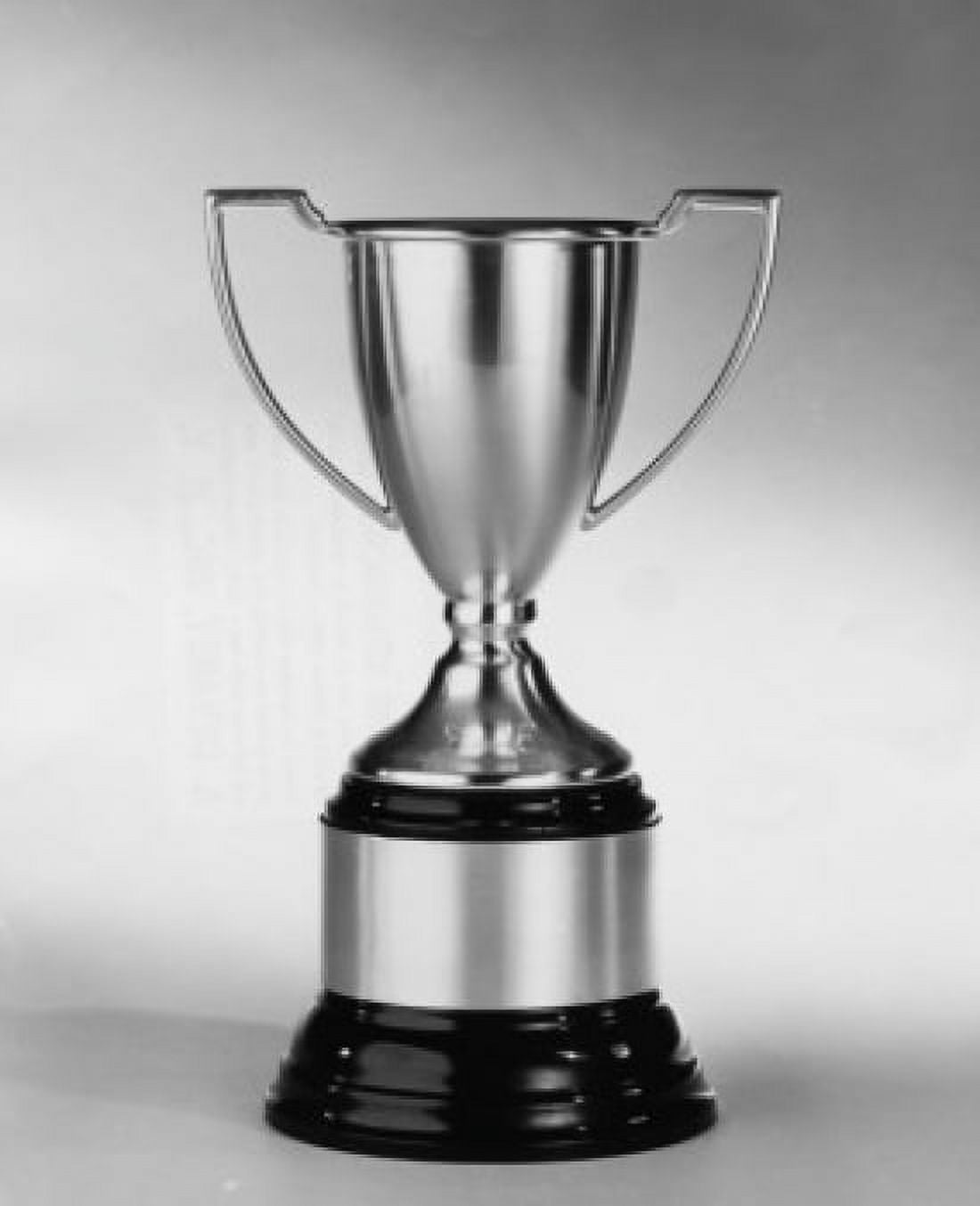Close-up of a trophy Canvas Art - (24 x 36)