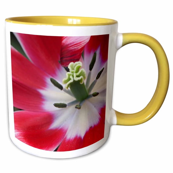 Close-up of a tulip. 11oz Two-Tone Yellow Mug mug-257763-8