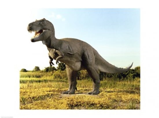 Close-up of a tyrannosaurus rex standing in a field Canvas Art - (24 x 18)