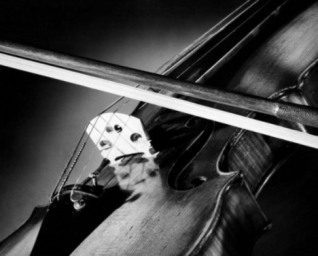 Close-up of a violin Canvas Art - (18 x 24)