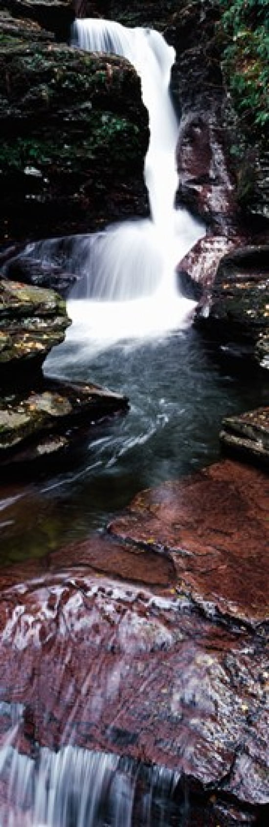 Close-up of a waterfall Ricketts Glen State Park Pennsylvania USA Canvas Art - Panoramic Images (18 x 6)