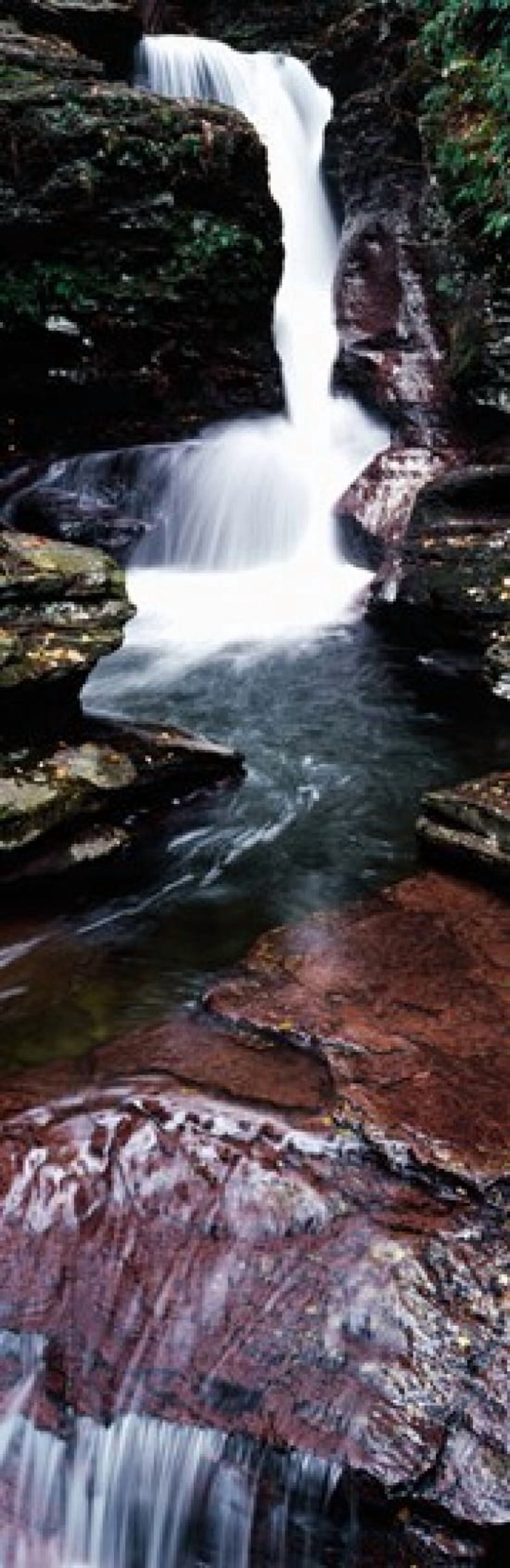 Close-up of a waterfall Ricketts Glen State Park Pennsylvania USA Canvas Art - Panoramic Images (36 x 12)