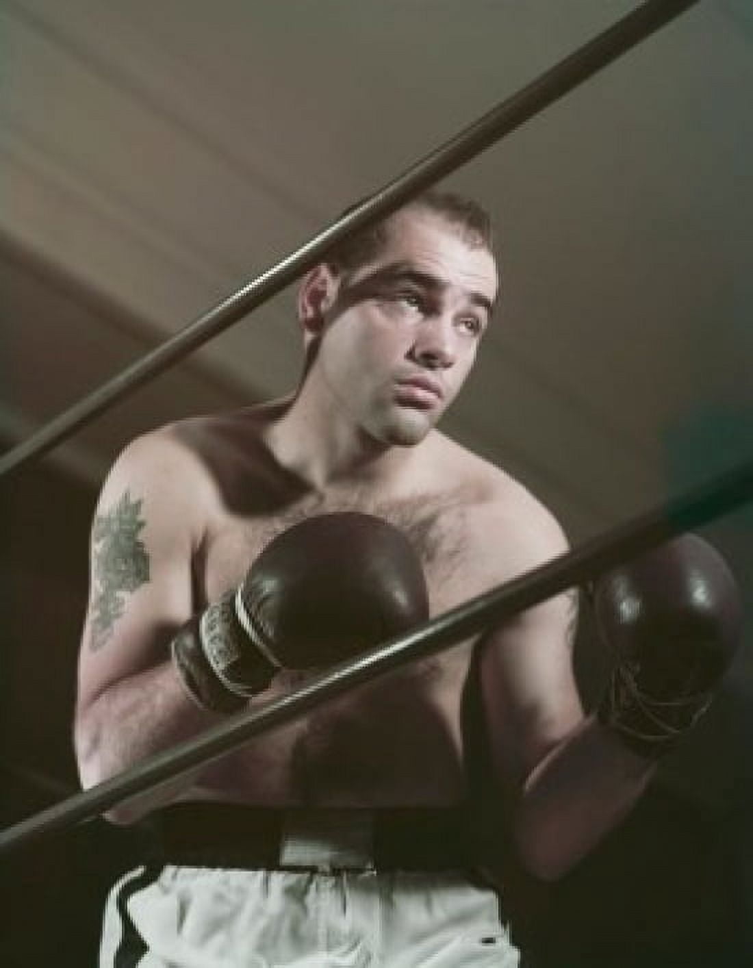 Close-up of a young man in a boxing ring Canvas Art -  (24 x 36)