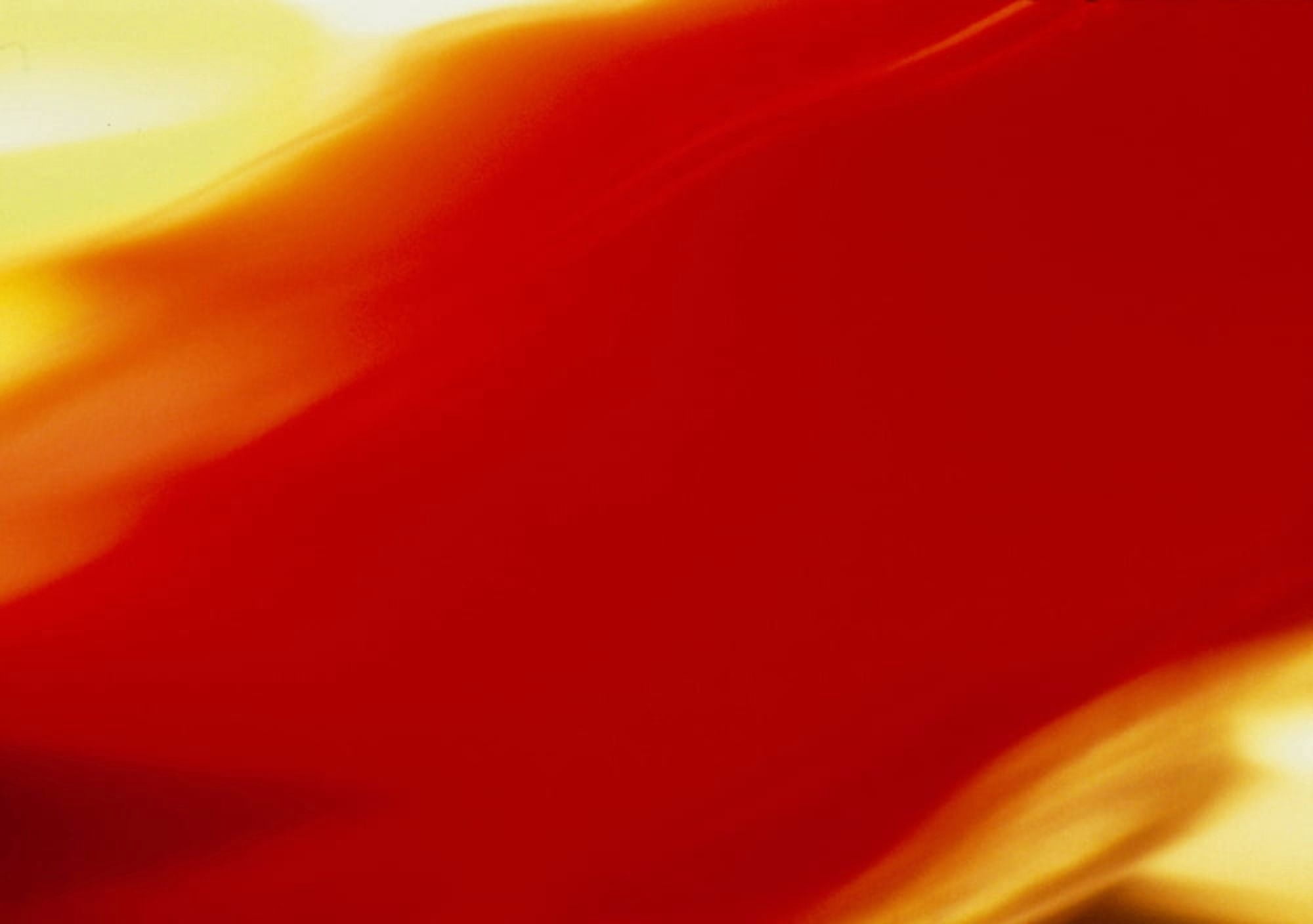 Close-up of an abstract pattern Canvas Art - Panoramic Images (24 x 36)